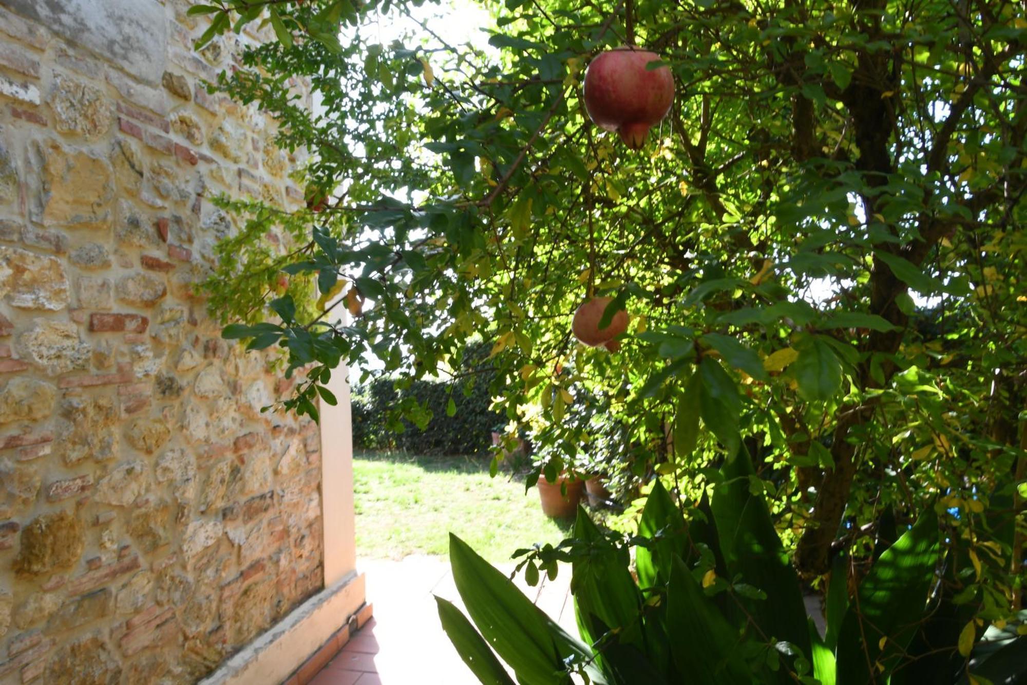 Podere Le Monache Montaione Buitenkant foto